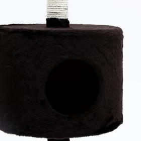 

Комплекс с двумя основаниями, сизаль, 40 х 40 х 80 см, коричневый