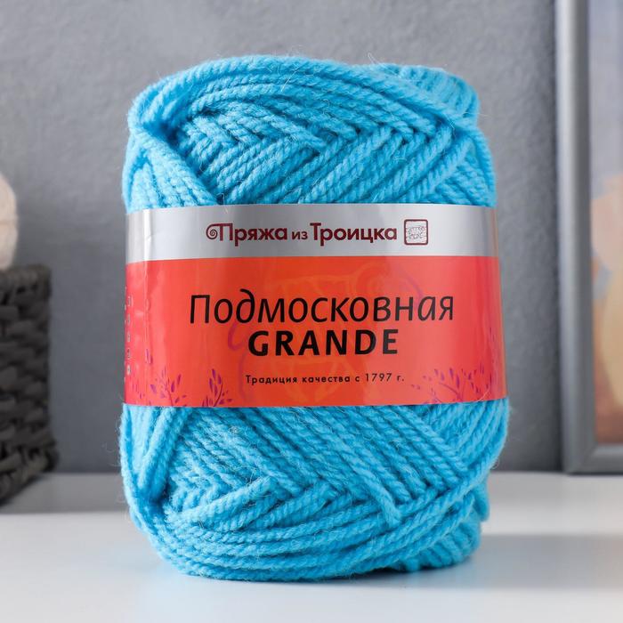 

Пряжа "Подмосковная GRANDE" 50% шерсть, 50% акрил 130м/100гр (0300 Светло-голубой)