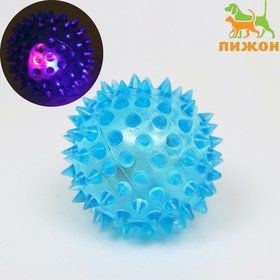 Мяч светящийся для собак средний, TPR, 5,5 см, голубой Ош