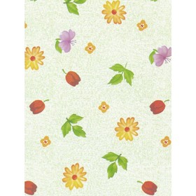 

Самоклеящаяся пленка Color decor 8512 гербарий 0,45х8,0