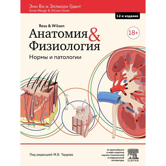 Анатомия и физиология. Нормы и патологии. Во Э., Грант Э. грант э пари на девственность