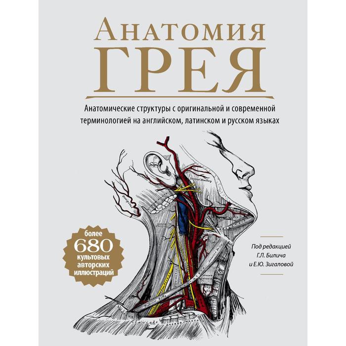 Анатомия Грея. Анатомические структуры с оригинальной и современной терминологией на английском, латинском и русском языках)