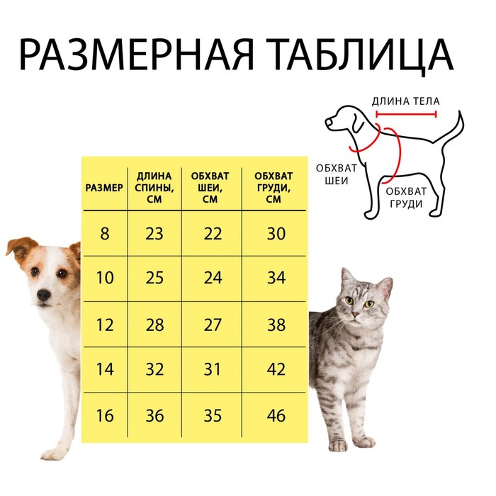 Комбинезон принтованный с замком на спине, размер 16 (ДС 36 см, ОГ 46 см, ОШ 35 см), синий