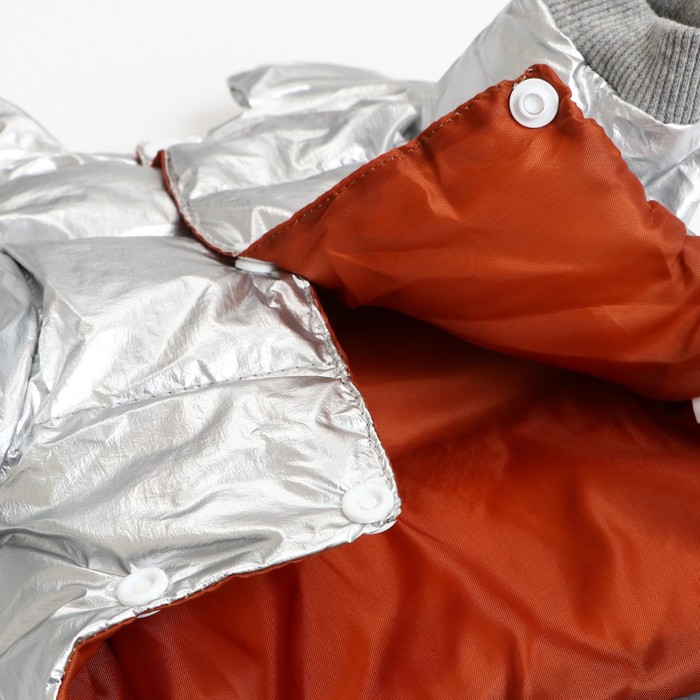 Комбинезон "Космонавт", размер 12 (ДС 28 см, ОГ 38 см, ОШ 27 см),  серебряный 6968244