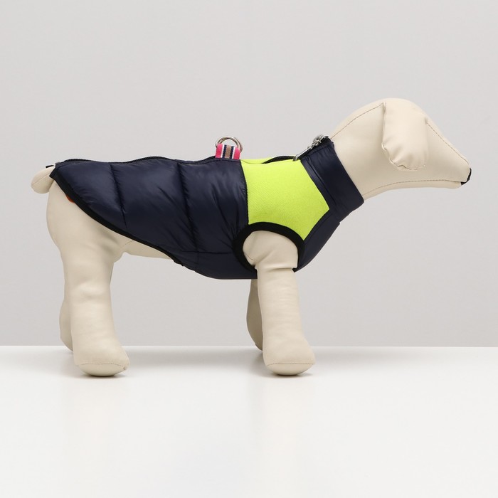 фото Куртка для собак на молнии, размер 10 (дс 25 см, ог 34 см, ош 24 см), синяя с жёлтым