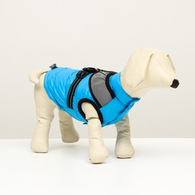 Куртка для собак со светоотражающей шлейкой, размер 16 (ДС 36, ОГ 46, ОШ 35), голубая