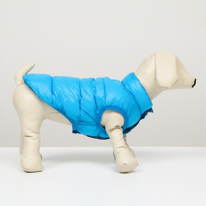 фото Куртка для собак двухсторонняя с принтом, размер 10 (дс 25 см, ог 34 см, ош 24 см),голубая