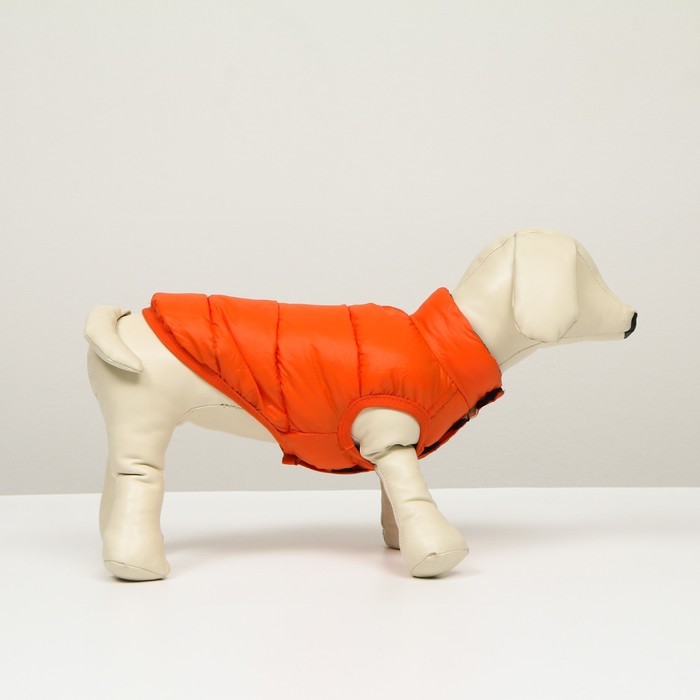 фото Куртка для собак двухстороння с принтом, размер 8 (дс 23 см, ог 30, ог 22 см), коралловая