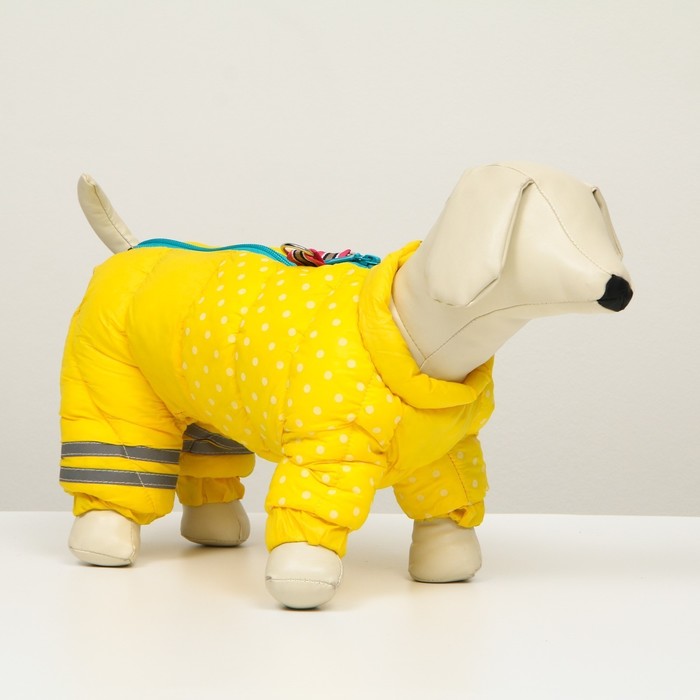 фото Комбинезон для собак "горошек", размер 12 (дс 28, ог 38, ош 27 см), жёлтый
