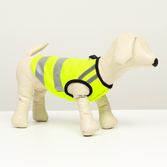 Светоотражающий жилет для собак, размер 12 (ДС 28 см, ОГ 38 см, ОШ 27 см), жёлтый
