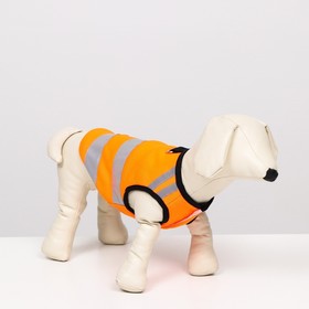 Светоотражающий жилет для собак, размер 10 (ДС 25 см, ОГ 34 см, ОШ 24 см), оранжевый Ош