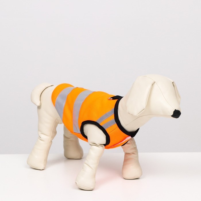 Светоотражающий жилет для собак, размер 12 (ДС 28 см, ОГ 38 см, ОШ 27 см), оранжевый