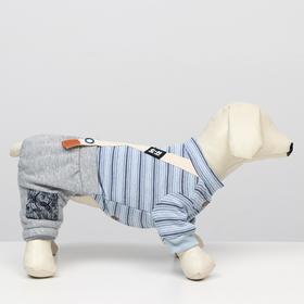 

Комбинезон зимний "Малыш", размер M (ДС 28, ОШ 23-28 ОГ 34-43), серо-голубой