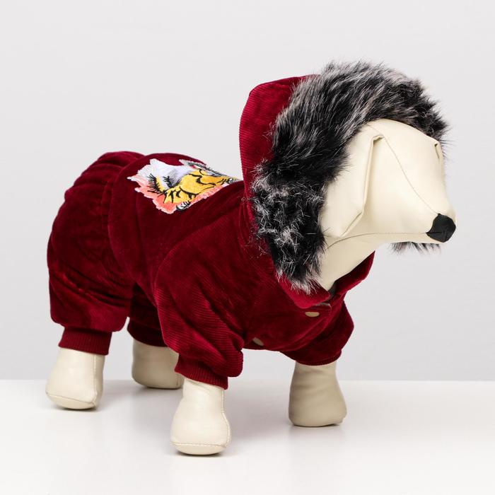 Комбинезон зимний 