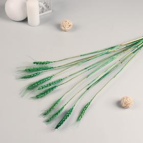 Декор сухоцвет 'Пшеница' (набор 10 шт) 60 см, зелёный Ош