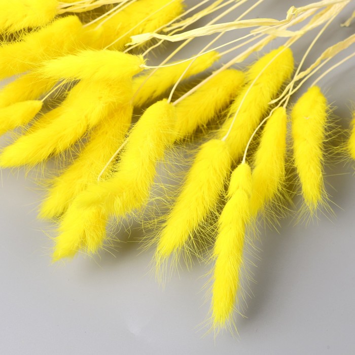 Декор сухоцвет "Лагурус" 65 см, жёлтый