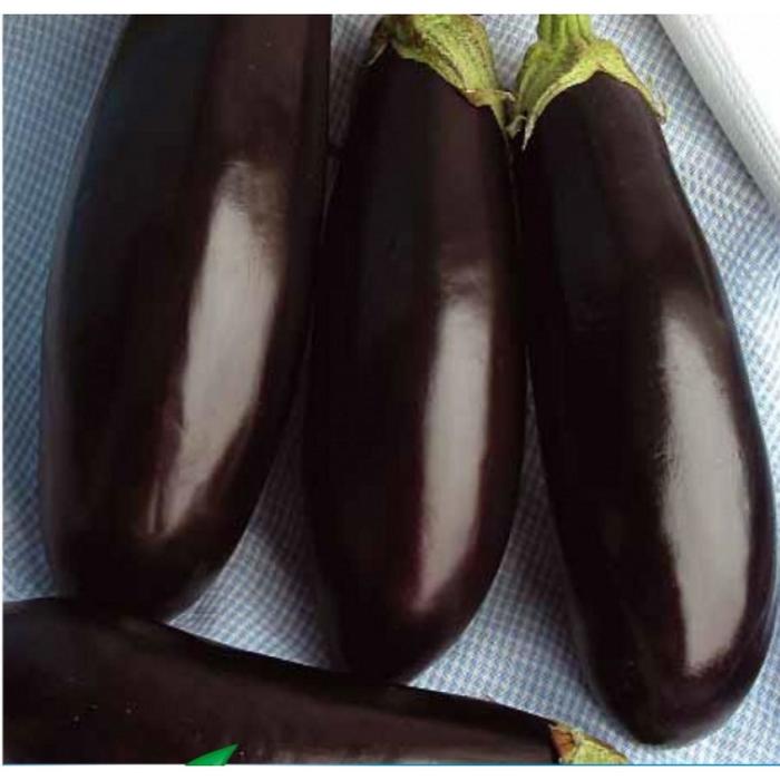 Семена  Баклажан длинный фиолетовый 1 кг