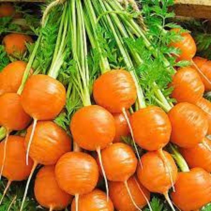 Семена  Морковь Парижский Рынок  1 кг