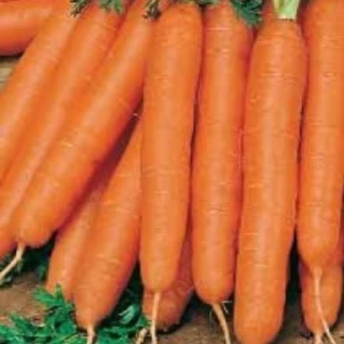 Семена  Морковь Витаминная  драж.  1 кг