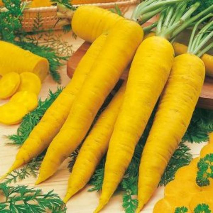Семена  Морковь Еллоустоун  1 кг