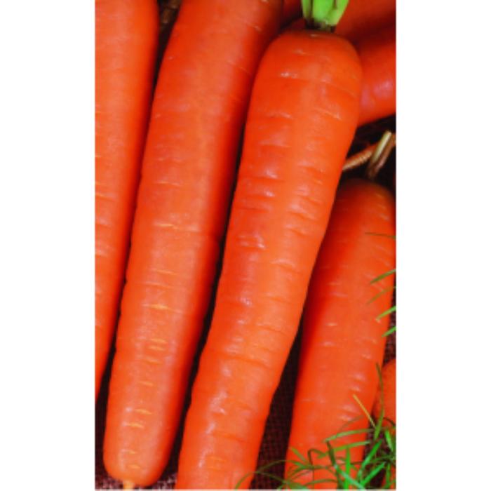 Семена  Морковь Нииох  1 кг