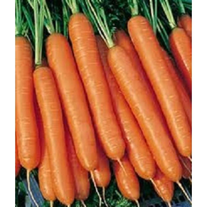Семена  Морковь Император  1 кг