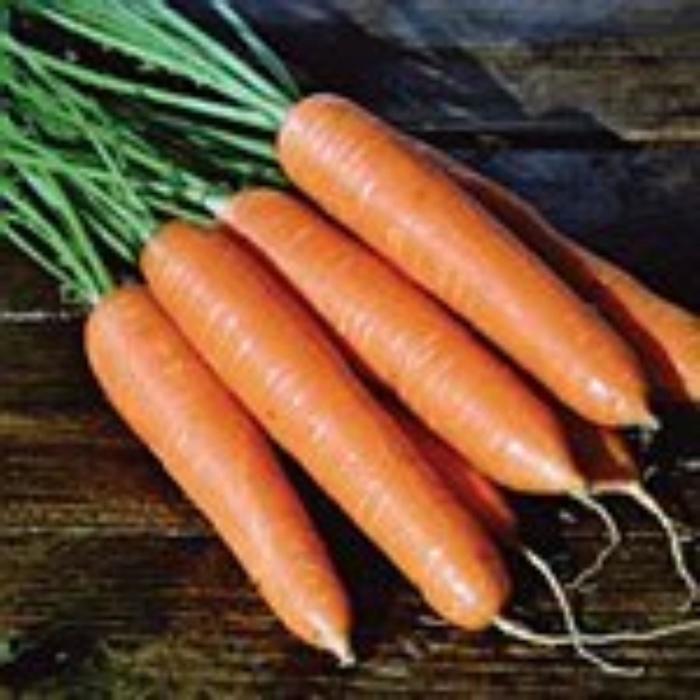 Семена  Морковь Роте Ризен  А 1 кг