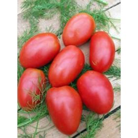 

Семена Томат Буян 1 кг
