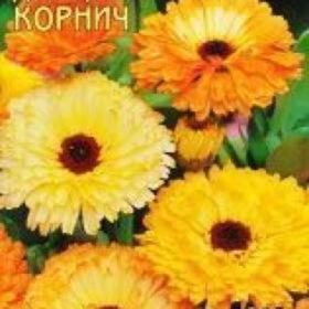 

Семена Календула Корнич 1 кг
