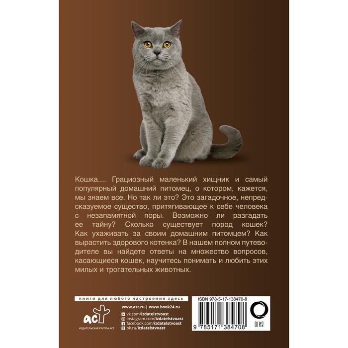 

Кошки. Непомнящий Николай Николаевич