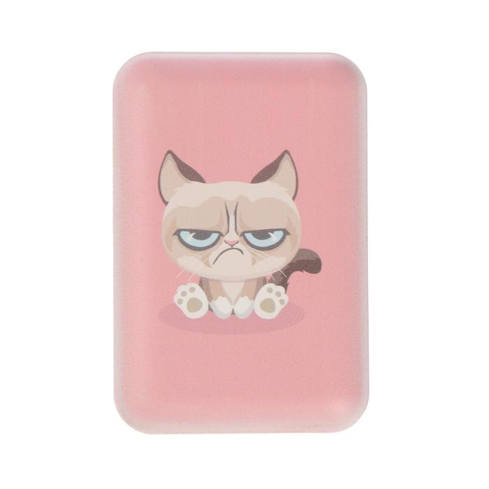 Внешний аккумулятор Ritmix RPB-10007 10000 мАч 2хUSB 21 А Grumpy Cat 119000₽