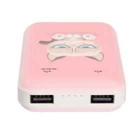 

Внешний аккумулятор Ritmix RPB-10007, 10000 мАч, 2хUSB, 2.1 А, Grumpy Cat