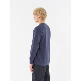 

Джемпер мужской Outhorn MEN'S SWEATSHIRT, размер XL EUR (HOL21-BLM622-22S)