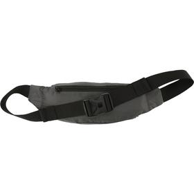 

Сумка на пояс унисекс 4F SPORT ACCESSORIES, размер onesize (H4Z20-AKB001-25S)