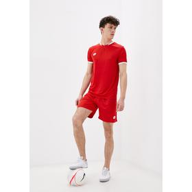

Футболка мужская LOTTO PRIME JERSEY SS, размер S EUR (124019-021)