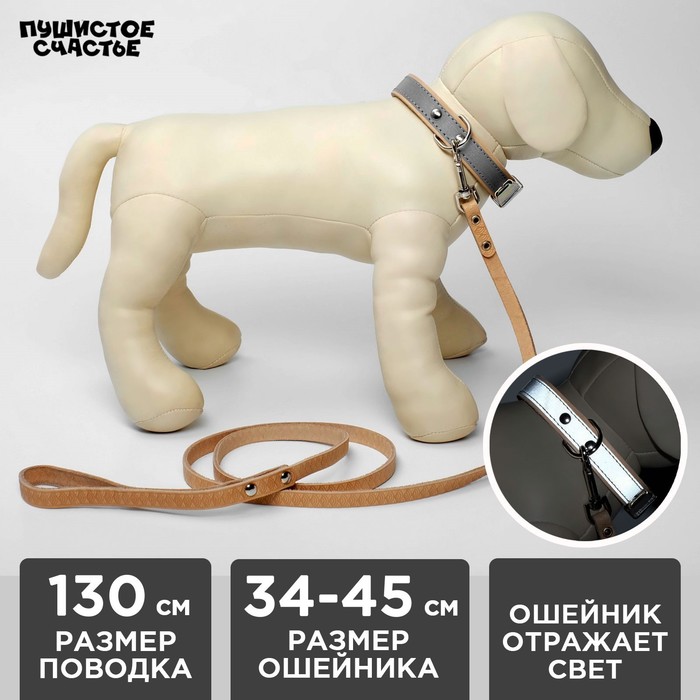 

Комплект ошейник (34-45х2 см) светоотражающий и поводок (130х1 см), бежевый