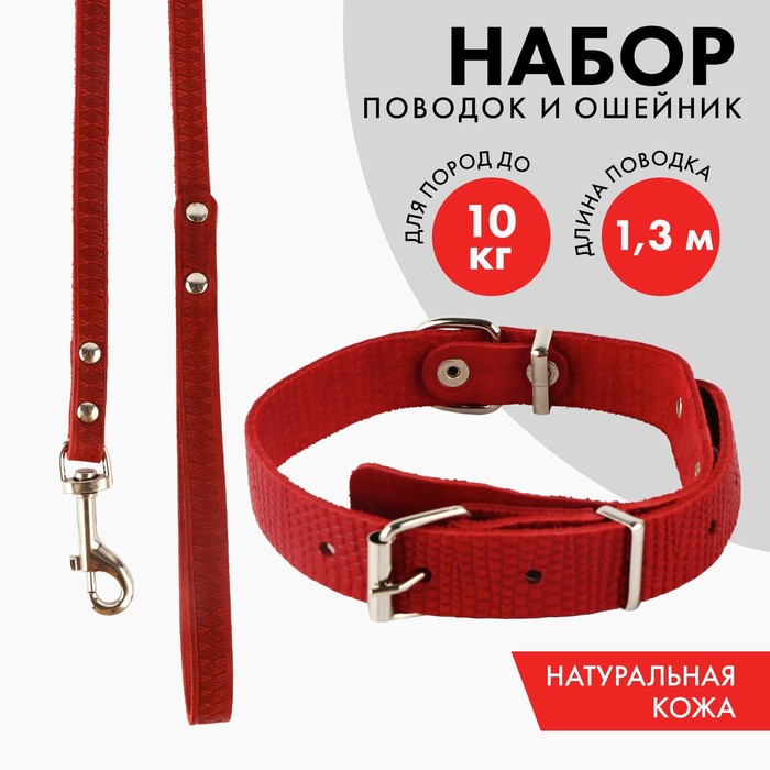 

Комплект ошейник (40-54х2.5 см) и поводок (130х1.2 см) рептилия, красный