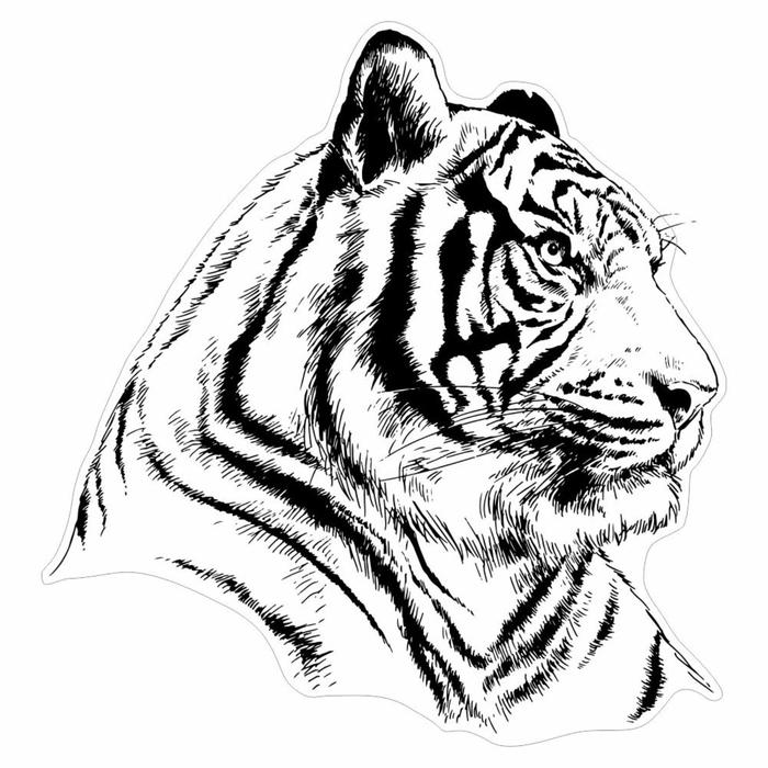 цена Наклейка на автомобиль черно-белая Тигр, 15 х 15 см