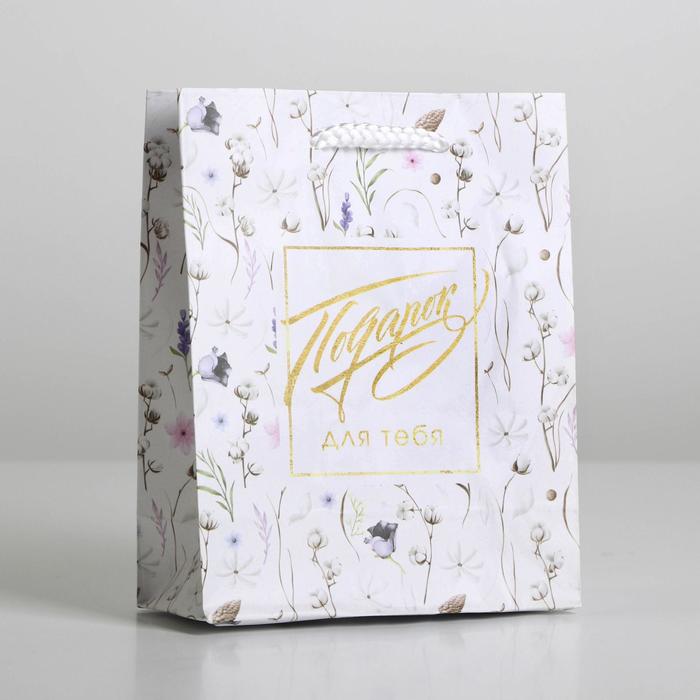 

Пакет подарочный ламинированный, упаковка, «Gift for you», S 12 х 15 х 5,5 см