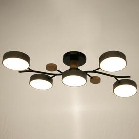 

Люстра 1316/5GR LED 120Вт 3000-6000К серый 55х73х15 см