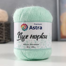 

Пряжа Astra Premium 'Пух норки'(Mink yarn) 80% пух,20% нейлон+нитки (041 св. мята) 350м/50гр