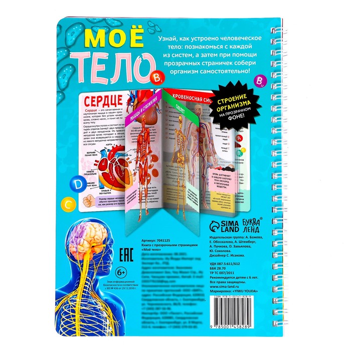 Книга с прозрачными страницами «Моё тело», 32 стр.