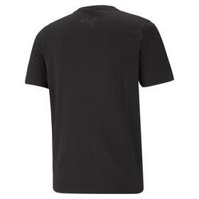 

Футболка мужская Puma Avenir Tee, размер 48-50 (53022401)