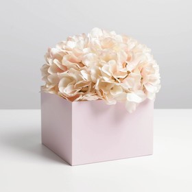 Коробка для цветов с PVC крышкой, розовая 17 х 17 х 12 см Ош