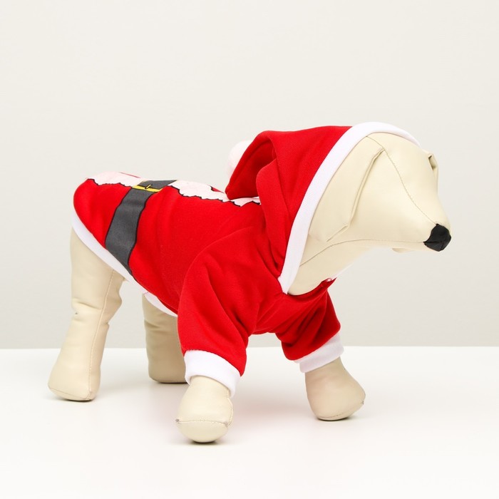 

Толстовка Santa, M (ДС 30, ОГ 40 см)