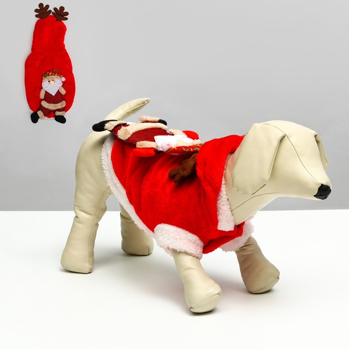 

Куртка на кнопочках с меховой отделкой Santa, XS (ДС 33, ОШ 30, ОГ 40 см)