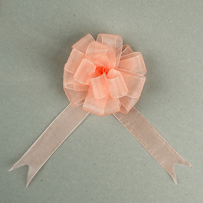 Бант-шар №2,7 "Лёгкость", цвет шампань