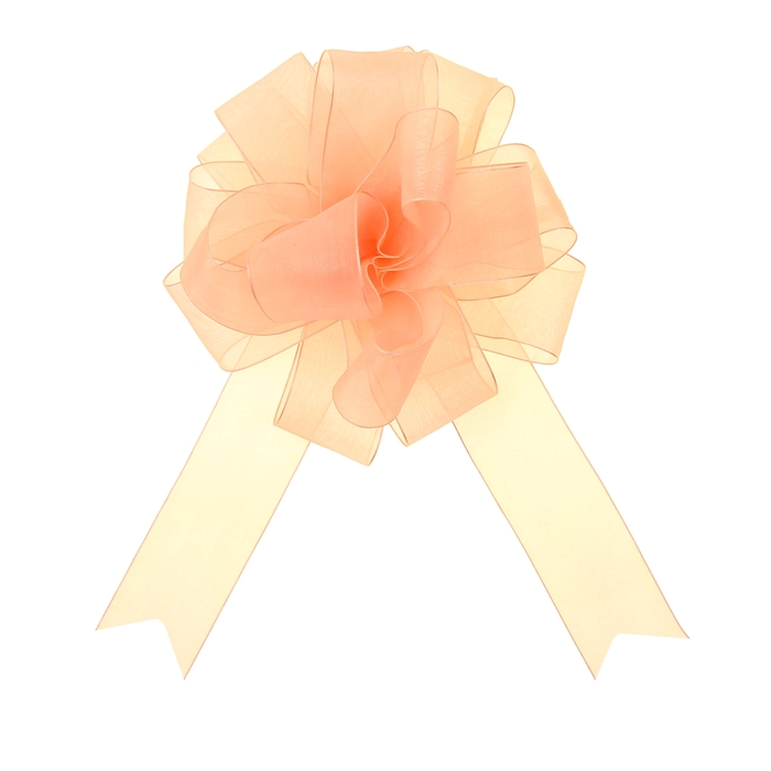 Бант-шар №5 "Лёгкость", цвет шампань