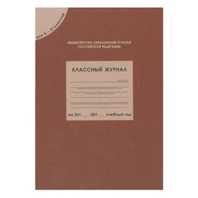 

Классный журнал для 10-11 класса