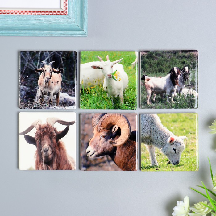 Магнит "Козлы/Бараны", МИКС